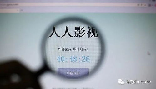 告別豬豬字幕組 整改、刪除與關閉背后的行業(yè)變革